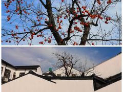 -北寺塔