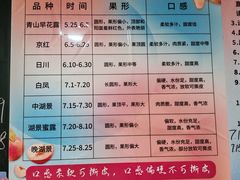 -老袁家蜜桃农场·阳山水蜜桃