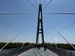 -沈阳鸟岛