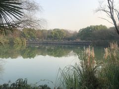 -西溪国家湿地公园