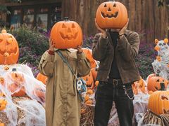 -七彩云南欢乐世界