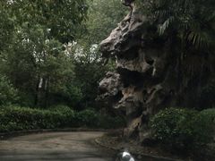 -安飞驰驾校·学车连锁(金高店)