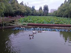 -月牙潭公园
