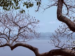-抚仙湖禄充风景区