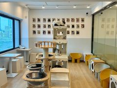 -有喵·猫咖·狗咖·30几只猫10只小狗(岗厦店)