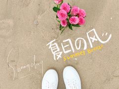 -西涌国际滨海旅游区