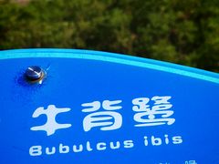 -北海金海湾红树林生态旅游区