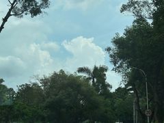 -梧桐山风景名胜区