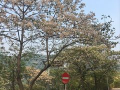 -金堂县云顶石城风景区