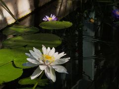 -国家植物园南园