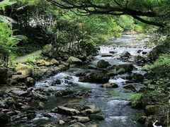 -广州市石门国家森林公园