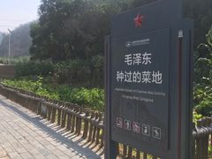 -延安杨家岭革命旧址