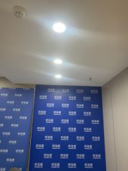 -碧莲盛不剃发植发