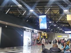-谢列梅捷沃国际机场