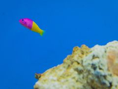-秦皇岛新澳海底世界