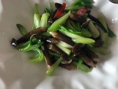 -素心小筑(后沙裕镇店)