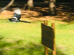 -森林公园(尖草坪区)