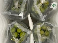 -马陆小张葡萄园农家乐