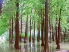 -捞渔河湿地公园