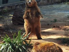 -昆明动物园
