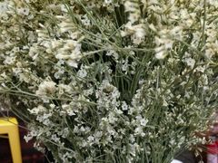 -MIKAKU(万达广场上海宝山店)