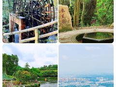 -大屏嶂森林公园