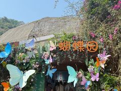 -野象谷景区