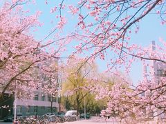 -吉林大学(前卫南区)