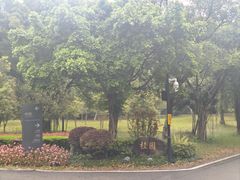 -福建鲤鱼洲酒店