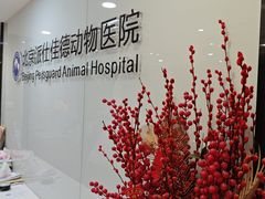 -北京派仕佳德动物医院·超导核磁·CT·神经科·骨科·内外科·急重症管理中心