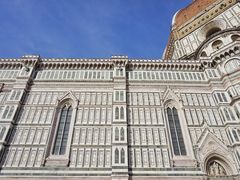 -圣母百花大教堂穹顶