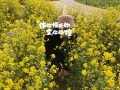 -唐岛湾公园