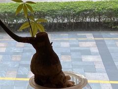 -友谊书城(香蜜湖店)