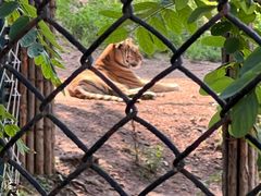 -大连森林动物园