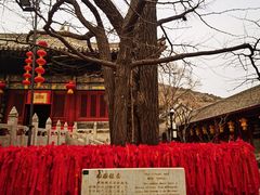 -红螺寺