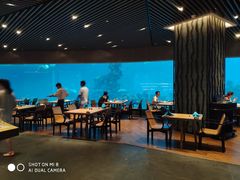 -海棠湾洲际-涛·海底餐厅·美人鱼·自助餐·海底隧道