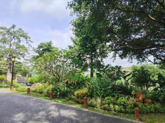 -东莞植物园