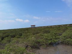 -北海金海湾红树林生态旅游区