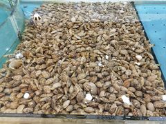 -福泉海码头(六里山店)