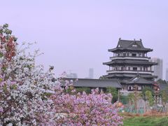 -海珠湖公园