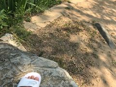 -滨河世纪广场公园