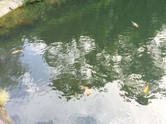 -大埔公路-马料水段香港中文大学(公交站)