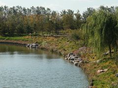 -大兴滨河森林公园