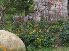 -鹅湖玫瑰文化园