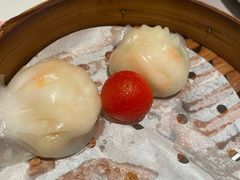 -新兴·金羊座·粤菜点心(乐峰店)