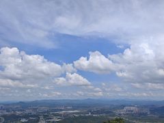 -黄埔油麻山森林公园
