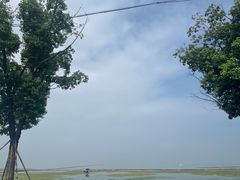 -同里国家湿地公园