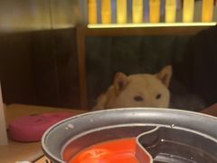 -温野菜涮涮锅(大悦城店)