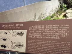 -北京周口店北京人遗址博物馆