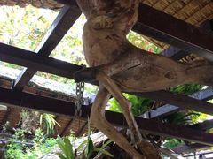iphone_upload_pic-自然餐厅(Phuket)
